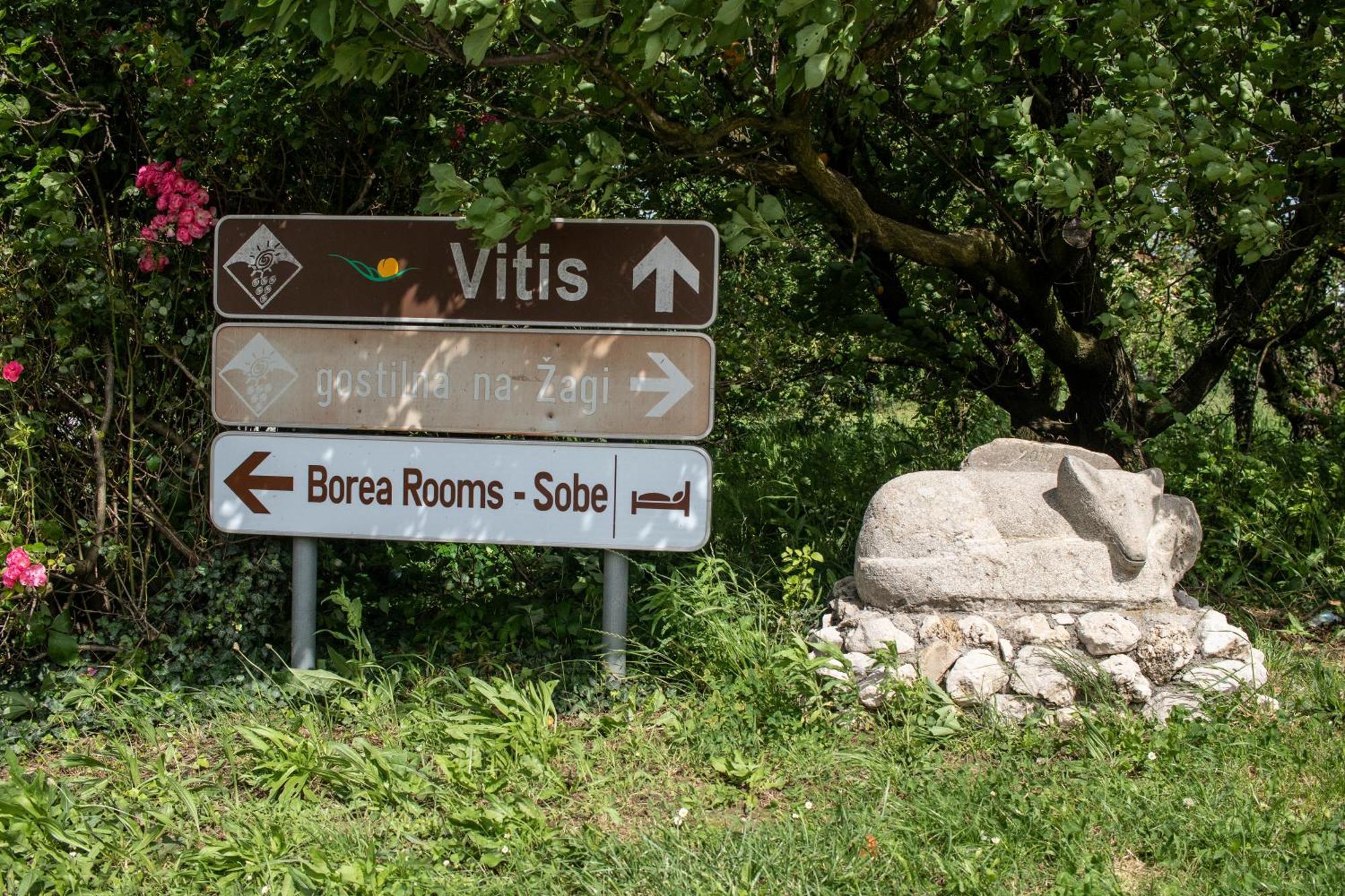 Borea Rooms - Sobe Budanje Vipava Exterior foto