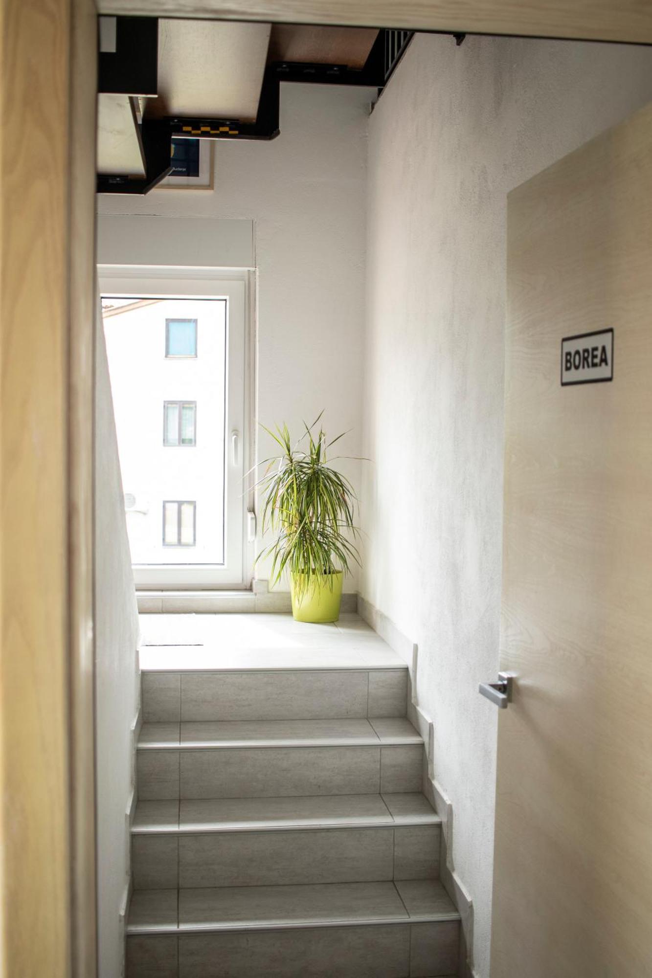 Borea Rooms - Sobe Budanje Vipava Exterior foto